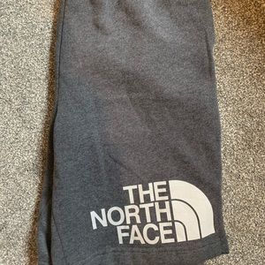 North Face Men’s Shorts